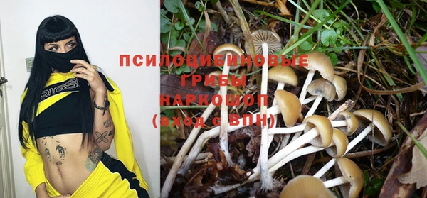 прущие крисы Алзамай