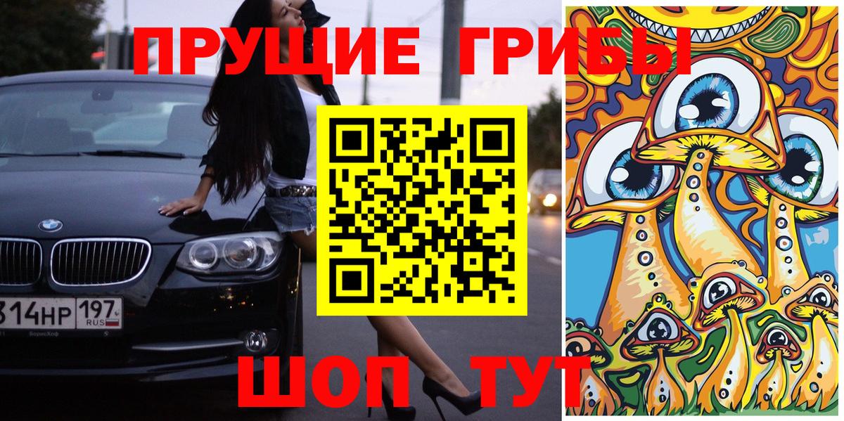 Псилоцибиновые грибы MAGIC MUSHROOMS Сафоново