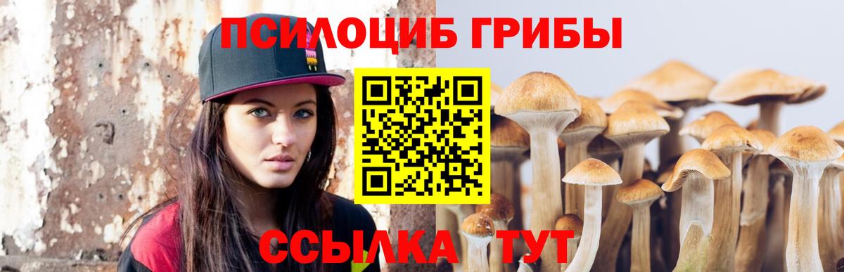 Псилоцибиновые грибы Cubensis  Псилоцибиновые грибы прущие грибы  Вход с VPN  Сафоново 